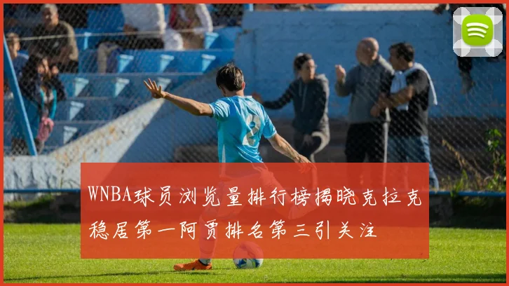 WNBA球员浏览量排行榜揭晓克拉克稳居第一阿贾排名第三引关注