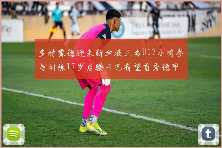 多特蒙德迎来新血液三名U17小将参与训练17岁后腰卡巴有望首秀德甲