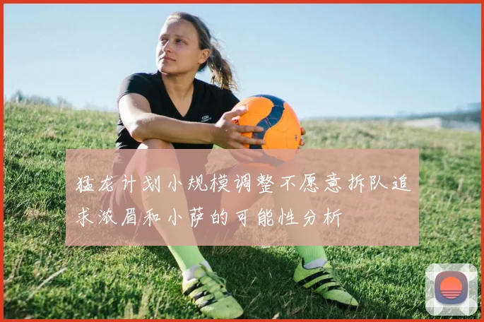 猛龙计划小规模调整不愿意拆队追求浓眉和小萨的可能性分析