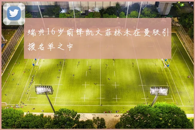 瑞典16岁前锋凯文菲林未在曼联引援名单之中