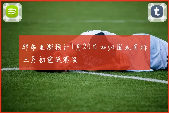 邓弗里斯预计1月20日回归国米目标三月初重返赛场