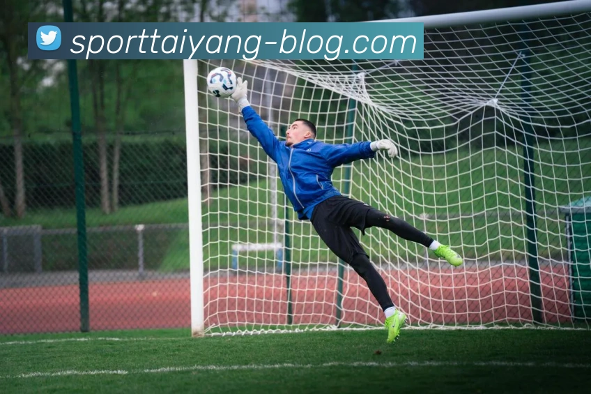 太阳城APP 封面图